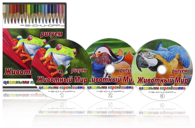 Рисуем цветными карандашами Животный Мир - Синчуко_0.png